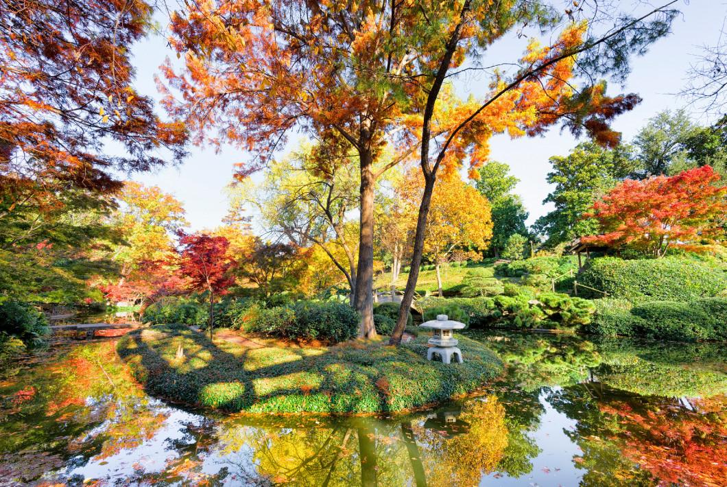 Fall Foliage in Texas