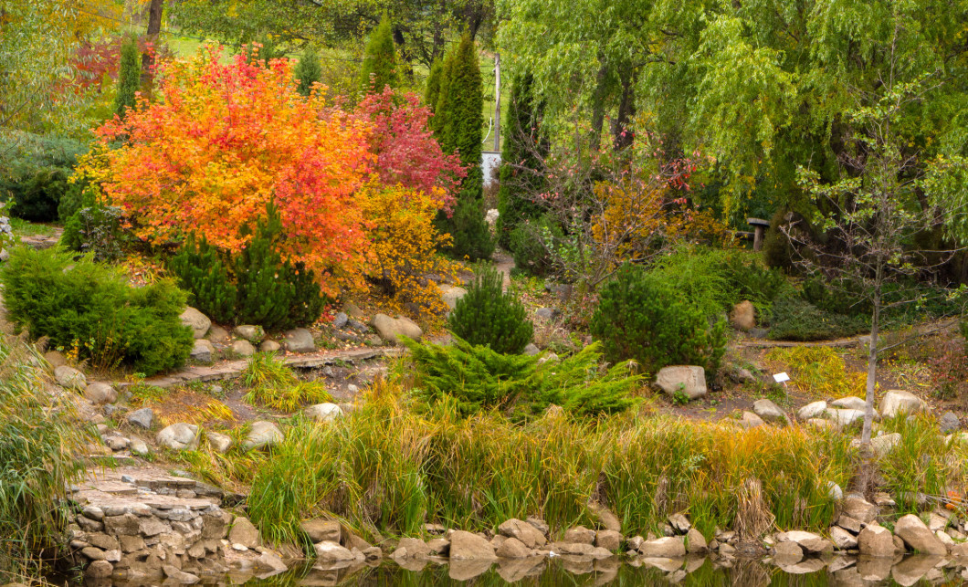 Beautiful autumn forest with yellow trees in park