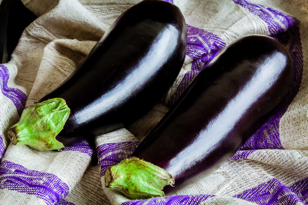 two raw organic eggplant on sackcloth