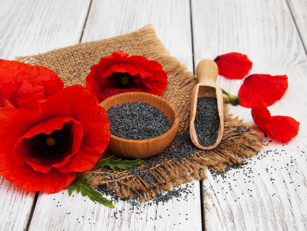 Poppy seeds and flowers