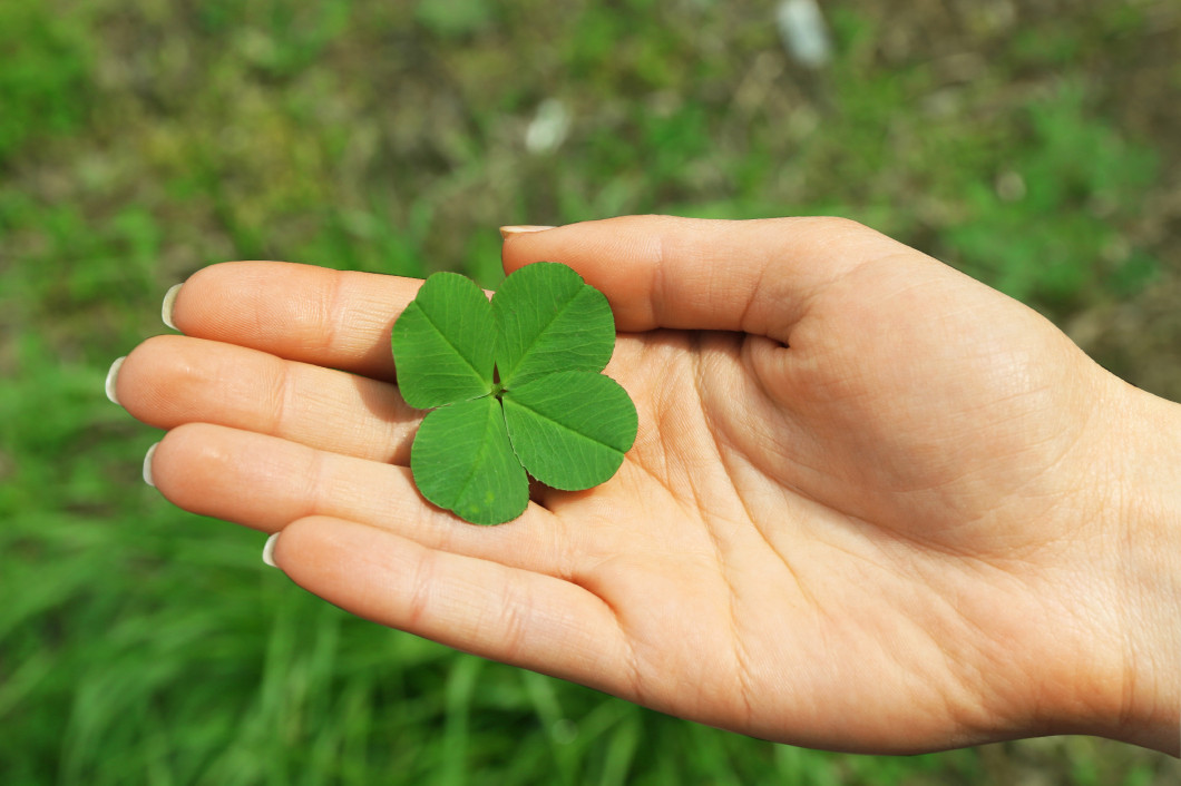 Female hand with four leaves clover, closeup