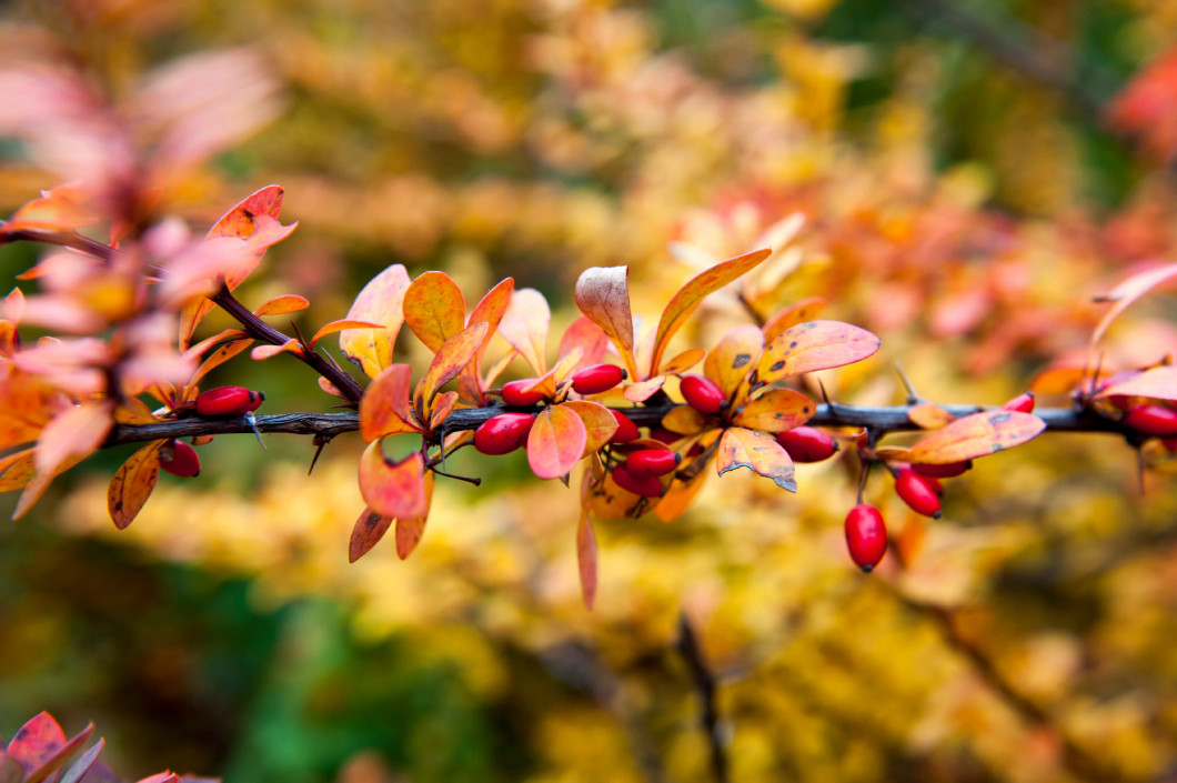 Autumn has arrived