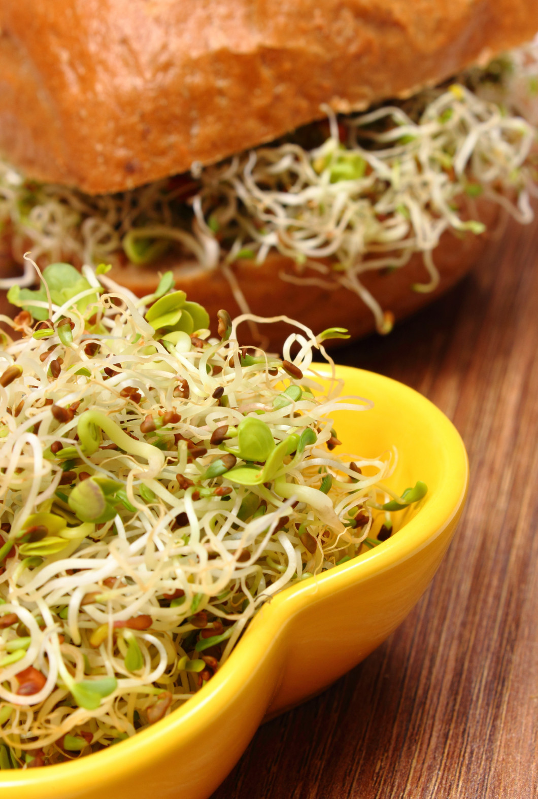 Alfalfa and radish sprouts with wholemeal bread roll