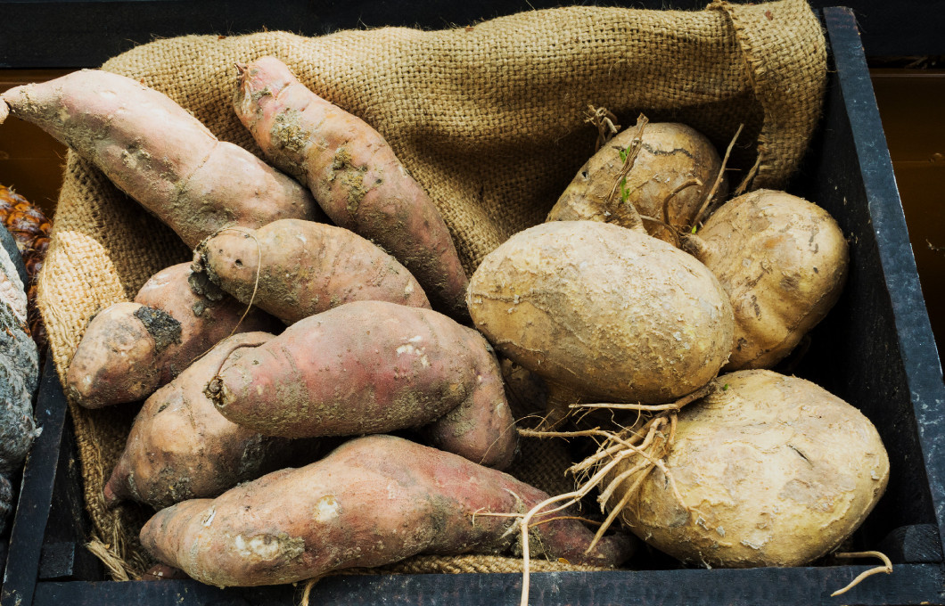 Yams and yam bean