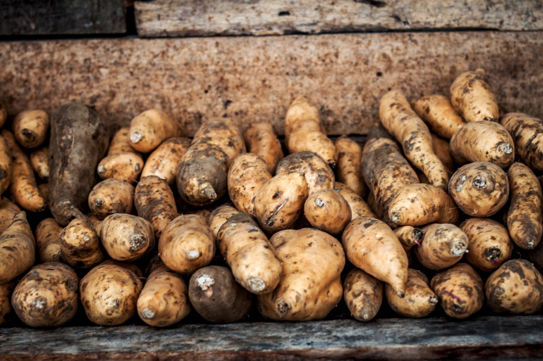 a yam sweet potato store close up photo taken in jogja indonesia