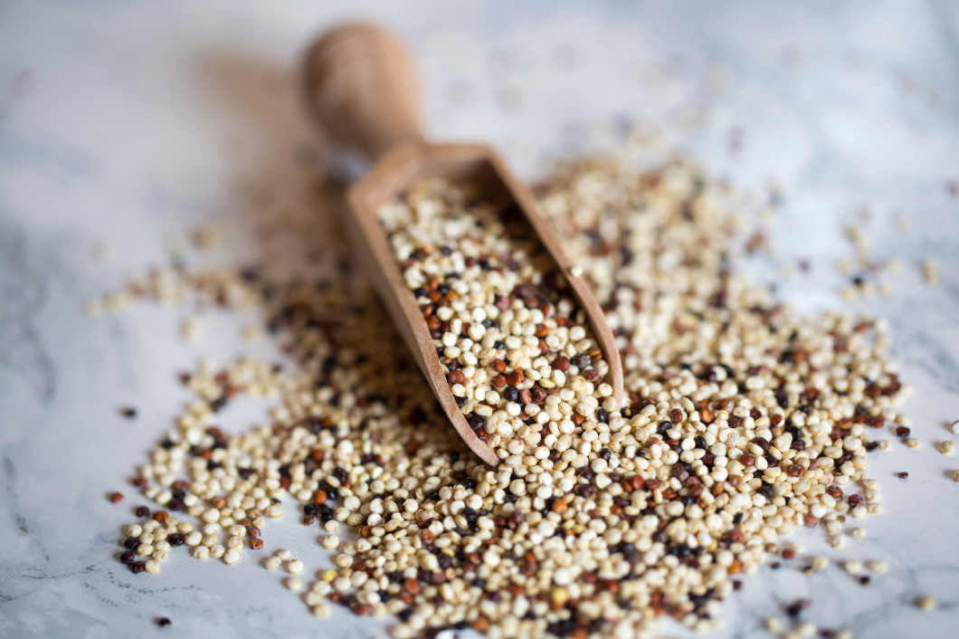 Quinoa tricolor and wooden shovel