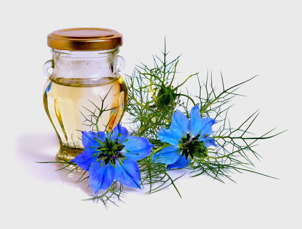 Nigella. Common names devil-in-a-bush or love-in-a-mist. With oi