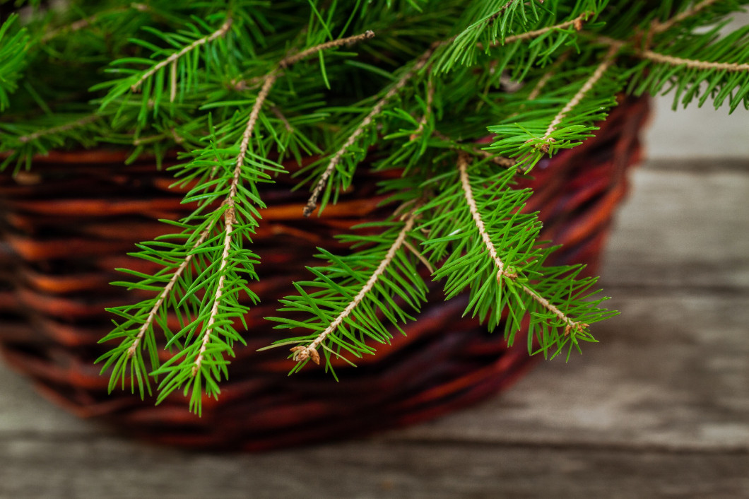 basket with pine tree branch