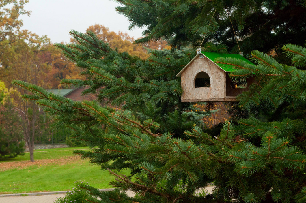 trough for birds on the tree