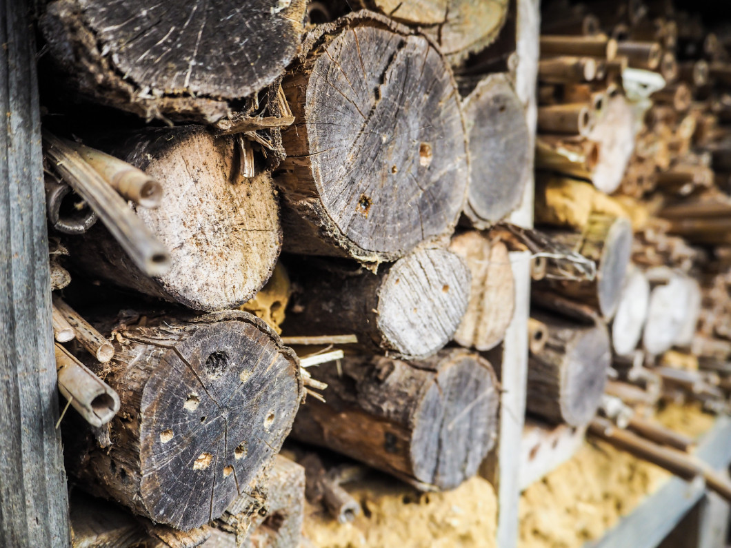 Stacks of lumber with drilled narrow holes used as a bee hotel f