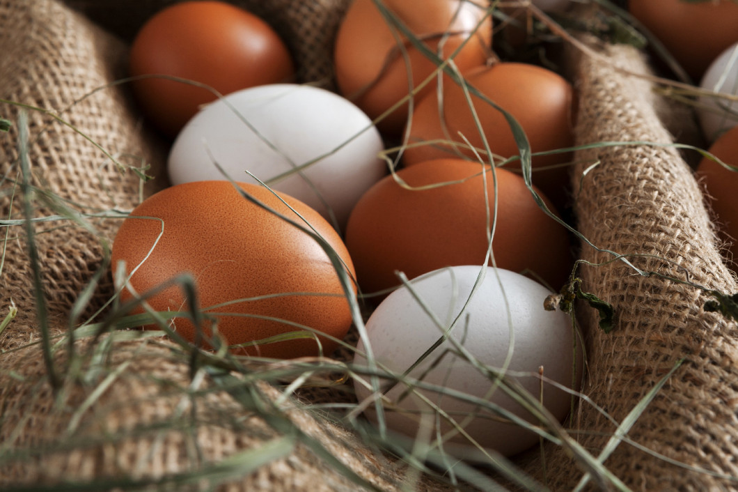 Fresh chicken white and brown eggs on sack, organic farming background