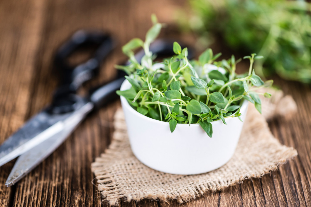 Old wooden table with fresh Thyme