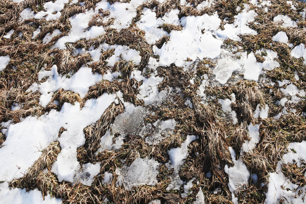 Plowed spring field. The beginning of the season of field work. Agro-industrial farm business. Snow melts on the ground. Warming and changing seasons. Farewell winter. Awakening Breed