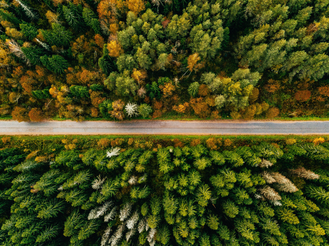 Aerial view of road in autumn forest. Fall landscape with road, red and yellow trees.