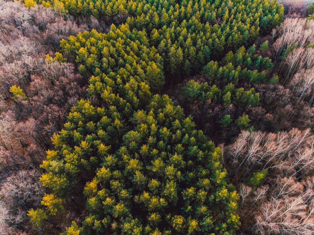 Empty highway in the autumn forest. Beautiful view of the road from the air. Shooting with quadrocopter.