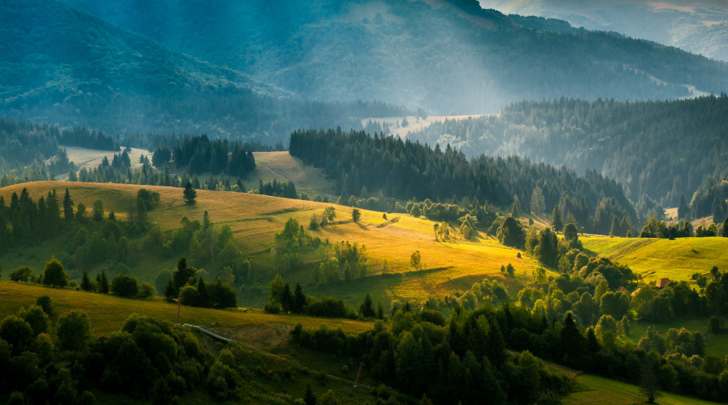 Colorful summer landscape in the Carpathian mountains. Ukraine, Europe.