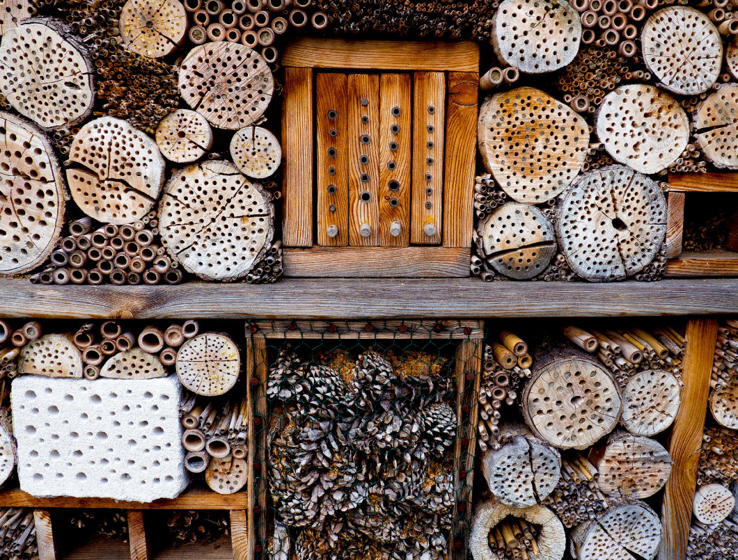 Insect hotel