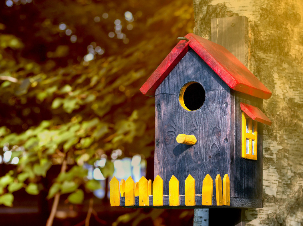 Colorful bird house with a window and a fence on birch closeup i