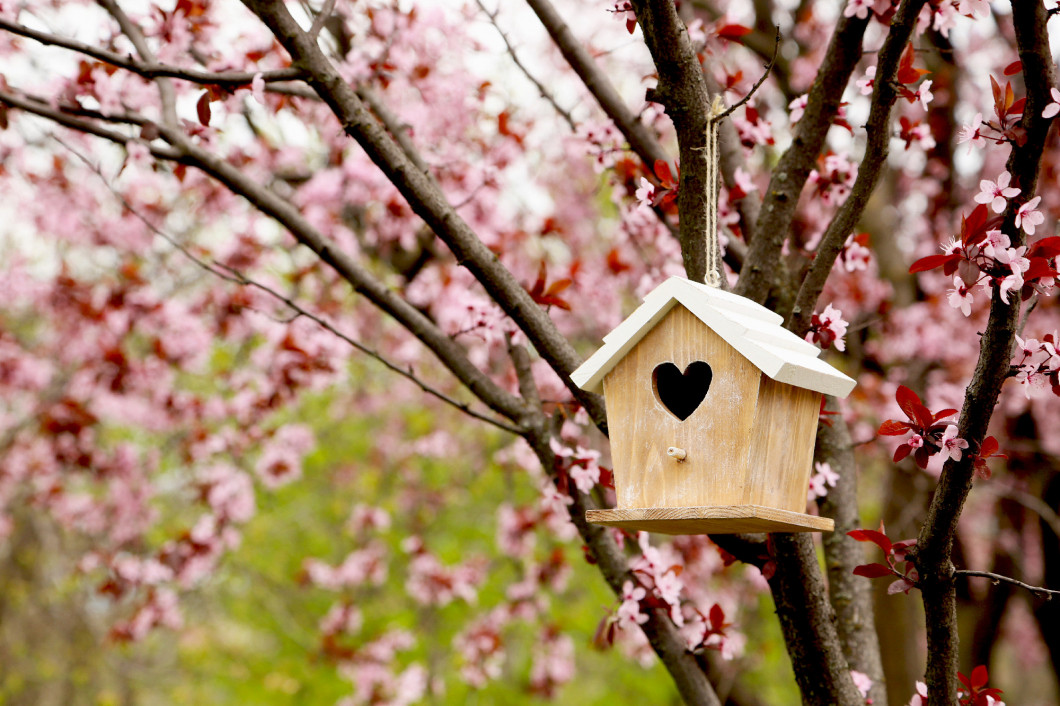 Nesting box hanging on the tree