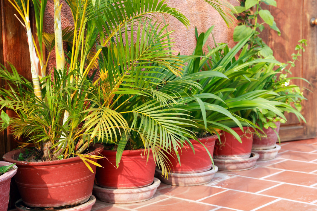 Flower Pots Set