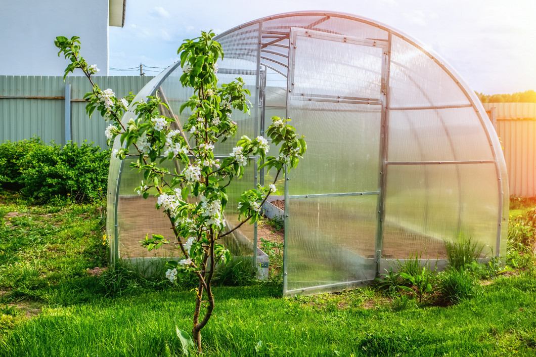 Greenhouse made of plastic for growing green vegetables. City garden. Toned