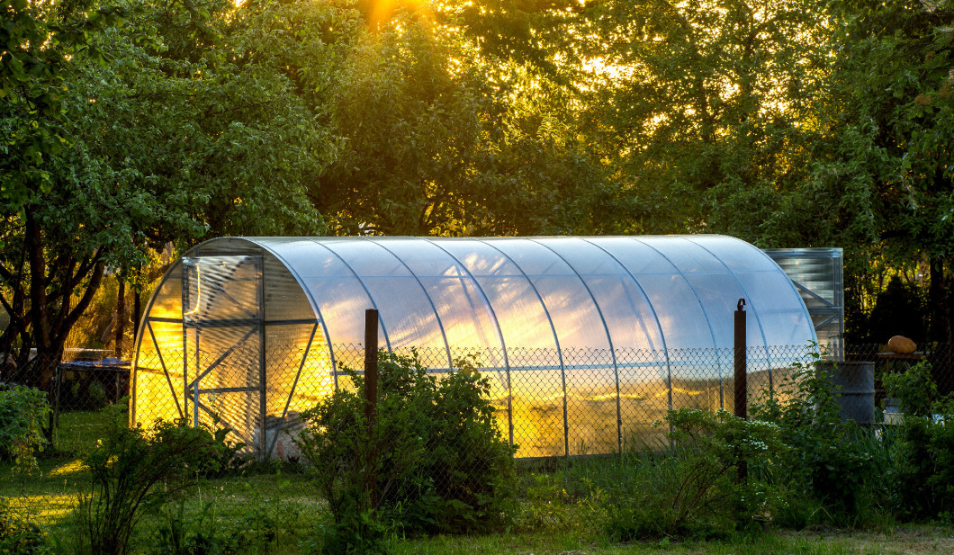 Greenhouse on the precinct. Private garden. Yellow sunny light.