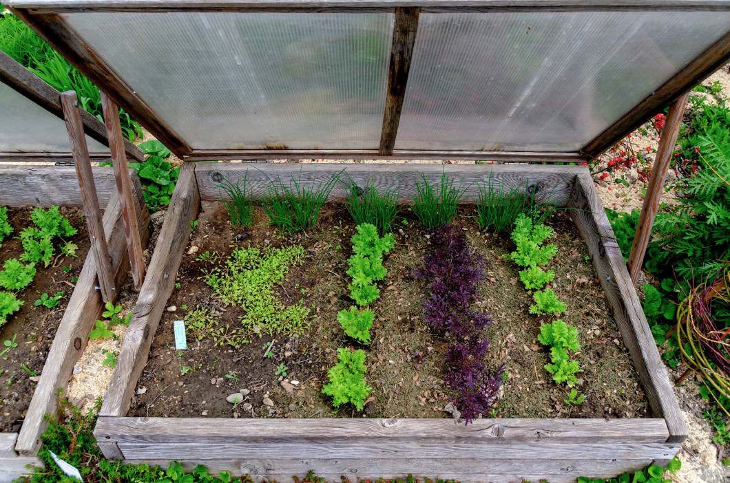 wooden cold frame