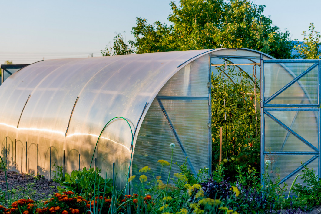 arched greenhouse