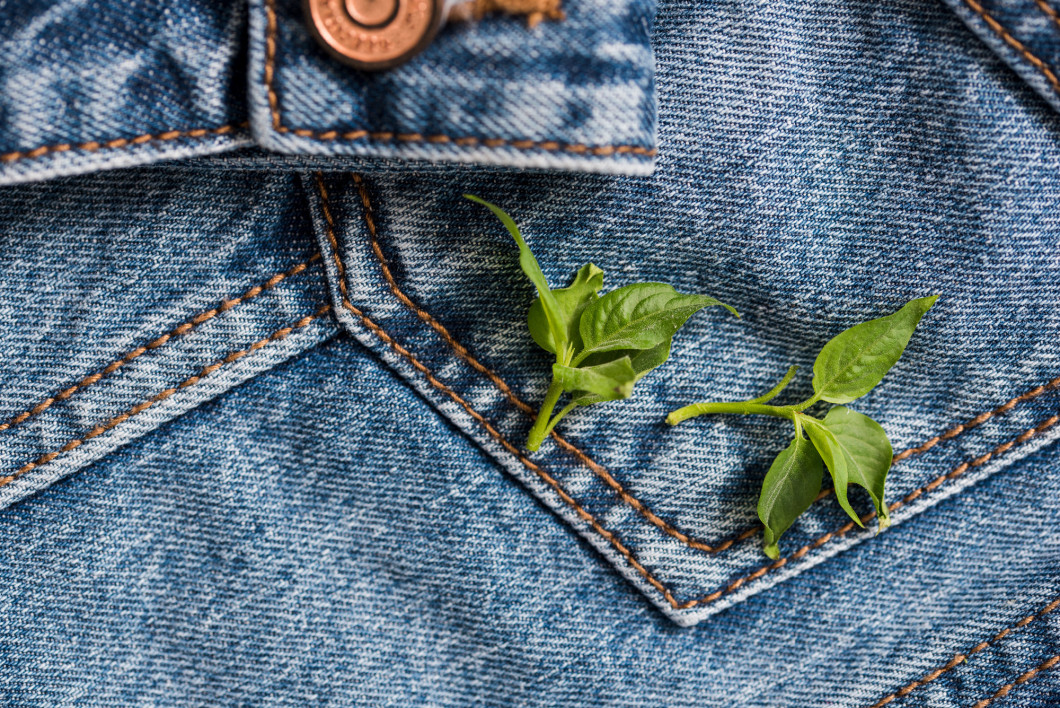 Jeans pocket on a jacket with a sleeve a background, spring flowers, green leaves on it