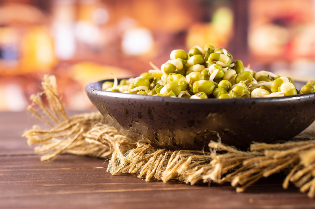 Mungo bean sprouts with rustic kitchen