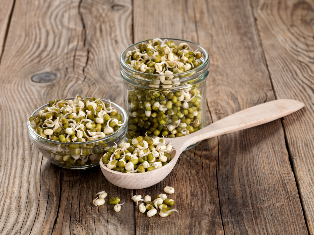 Healthy eating. Sprouted lentils in a wooden spoon and glass.