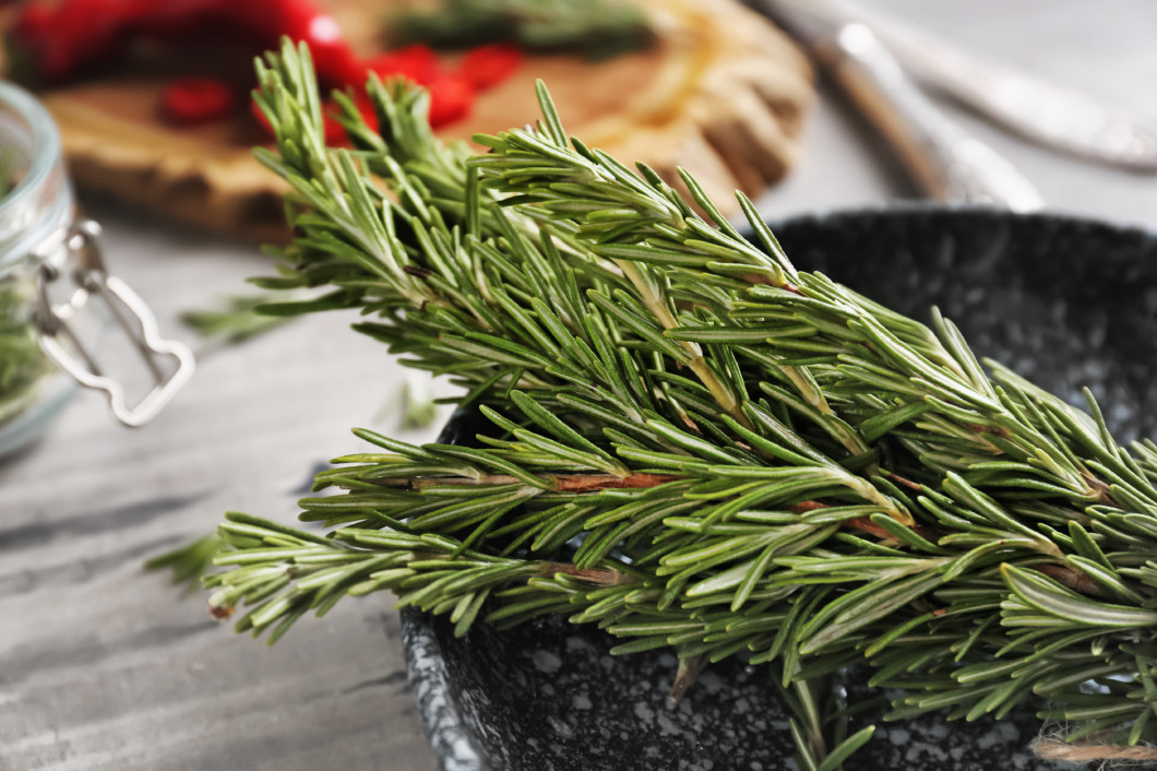 Plate with fresh rosemary on table, closeup�