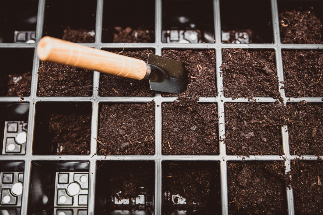 earth is filled into bowls or trays