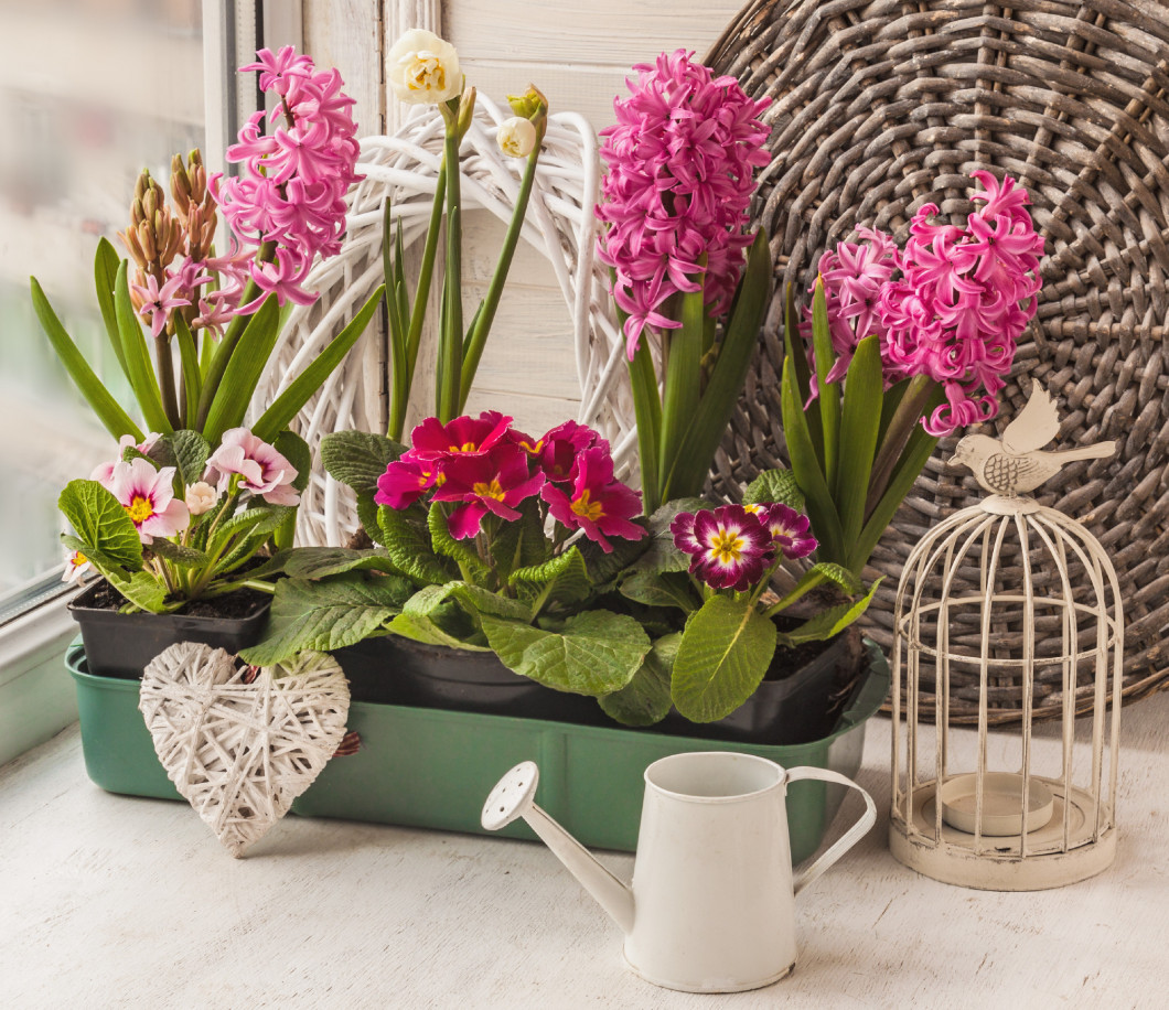 Box with spring flowers on the window next to the watering can