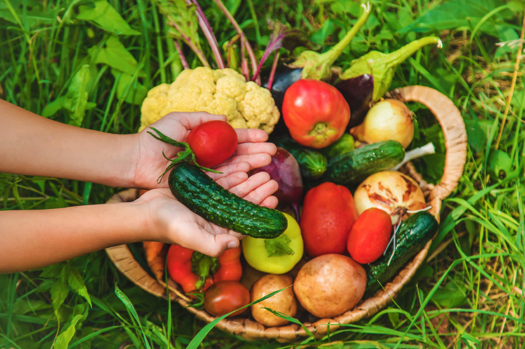 The child holds vegetables in his hands. Selective focus.