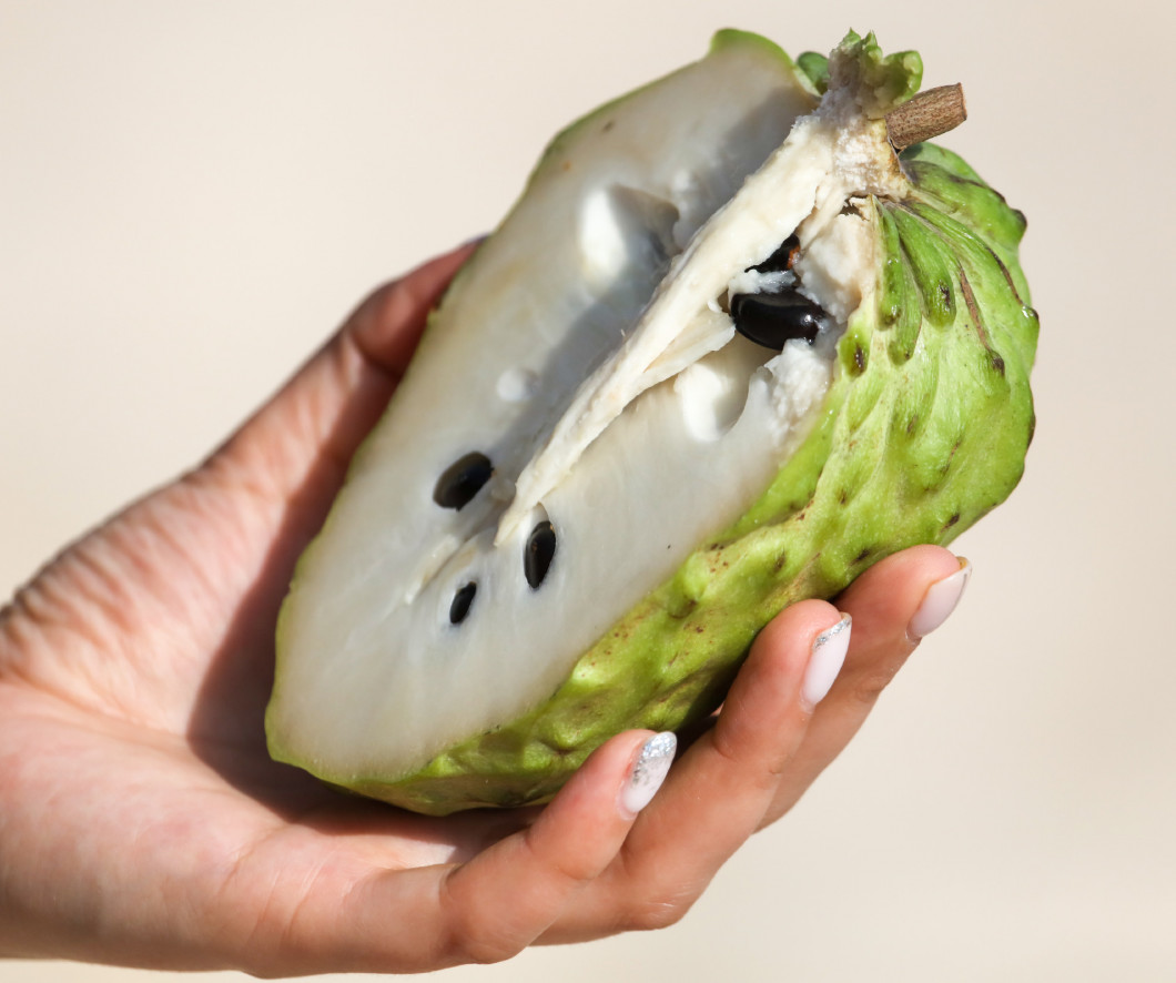 Sliced sugar apple in the hand.