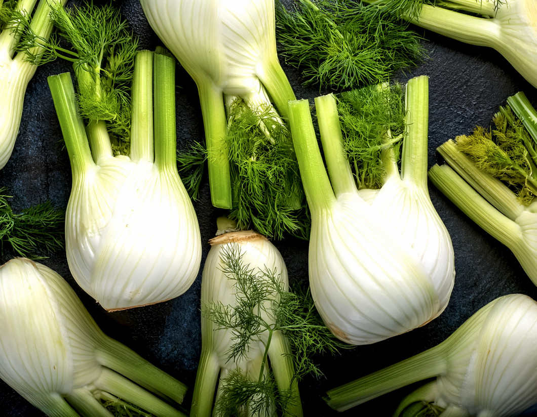 Close up Lots of Fennel healthy. Fennel healthy food background 