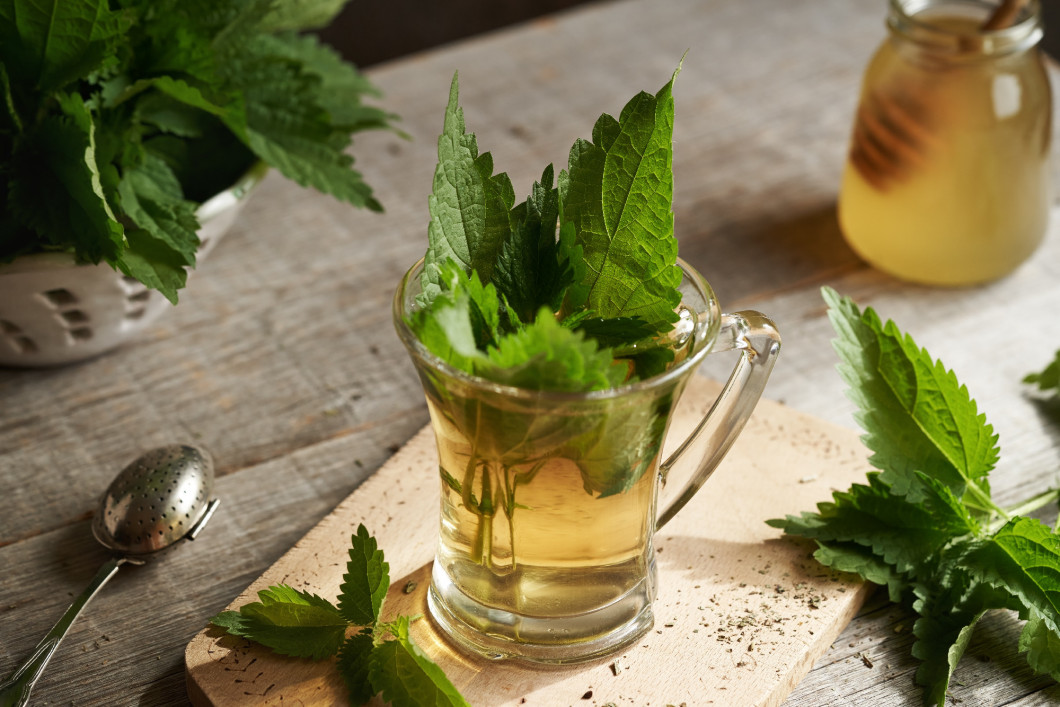 A cup of stinging nettle tea