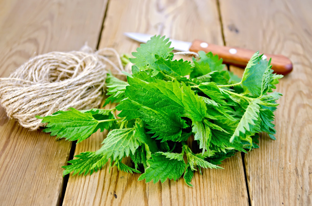 Nettle with a knife and twine on board