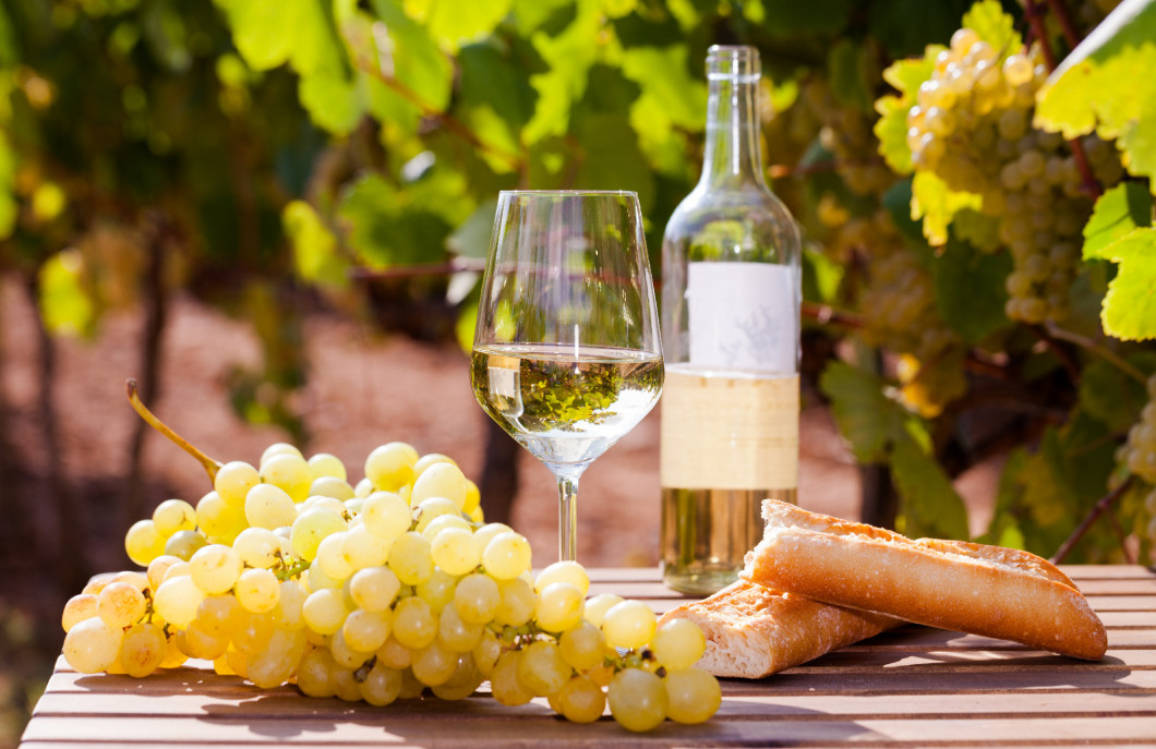 glass of White wine ripe grapes and bread on table in vineyard