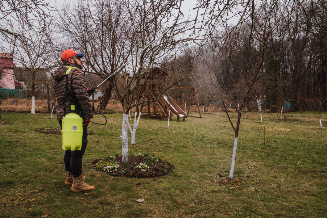 A man sprays fruit trees with against pests and diseases Early spring processing