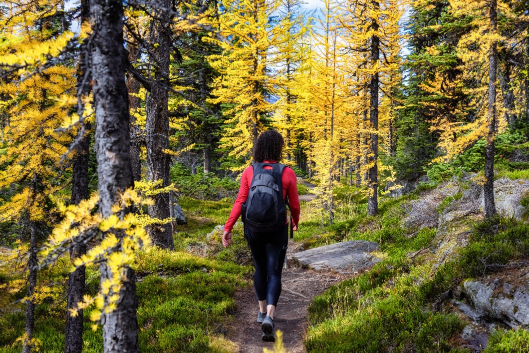 Adventurous Caucasian Woman Hiking on a Trail