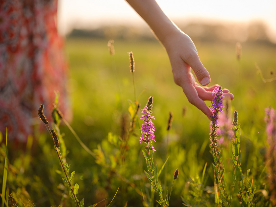 boho chic woman in a floral dress in European countryside