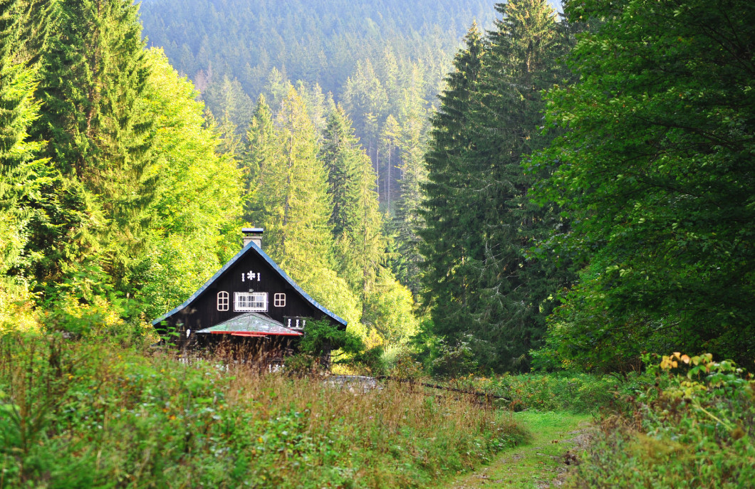 View of the country house standing in forest