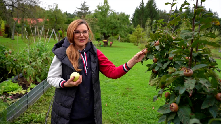 Az októberi kert ajándékai