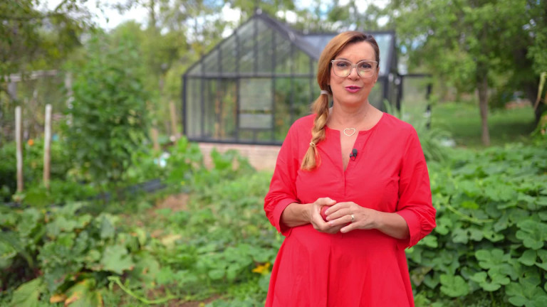 Zöld energia a kertben