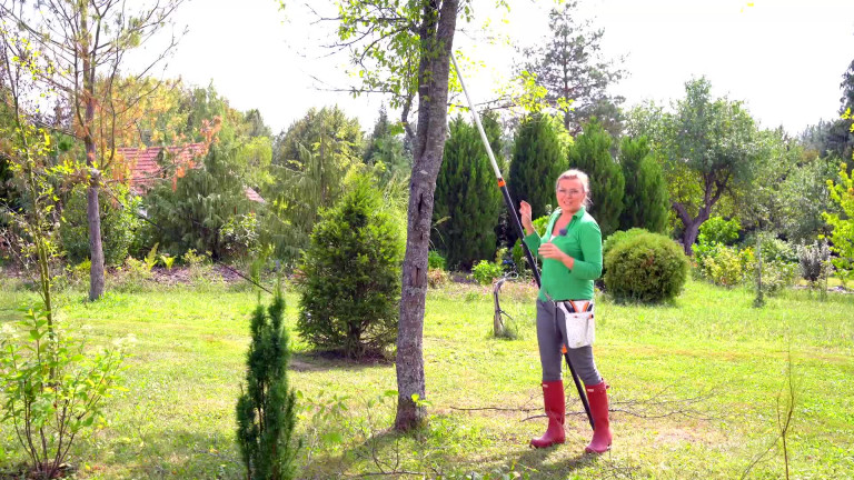 Nézői kérdésekre válaszolunk! 