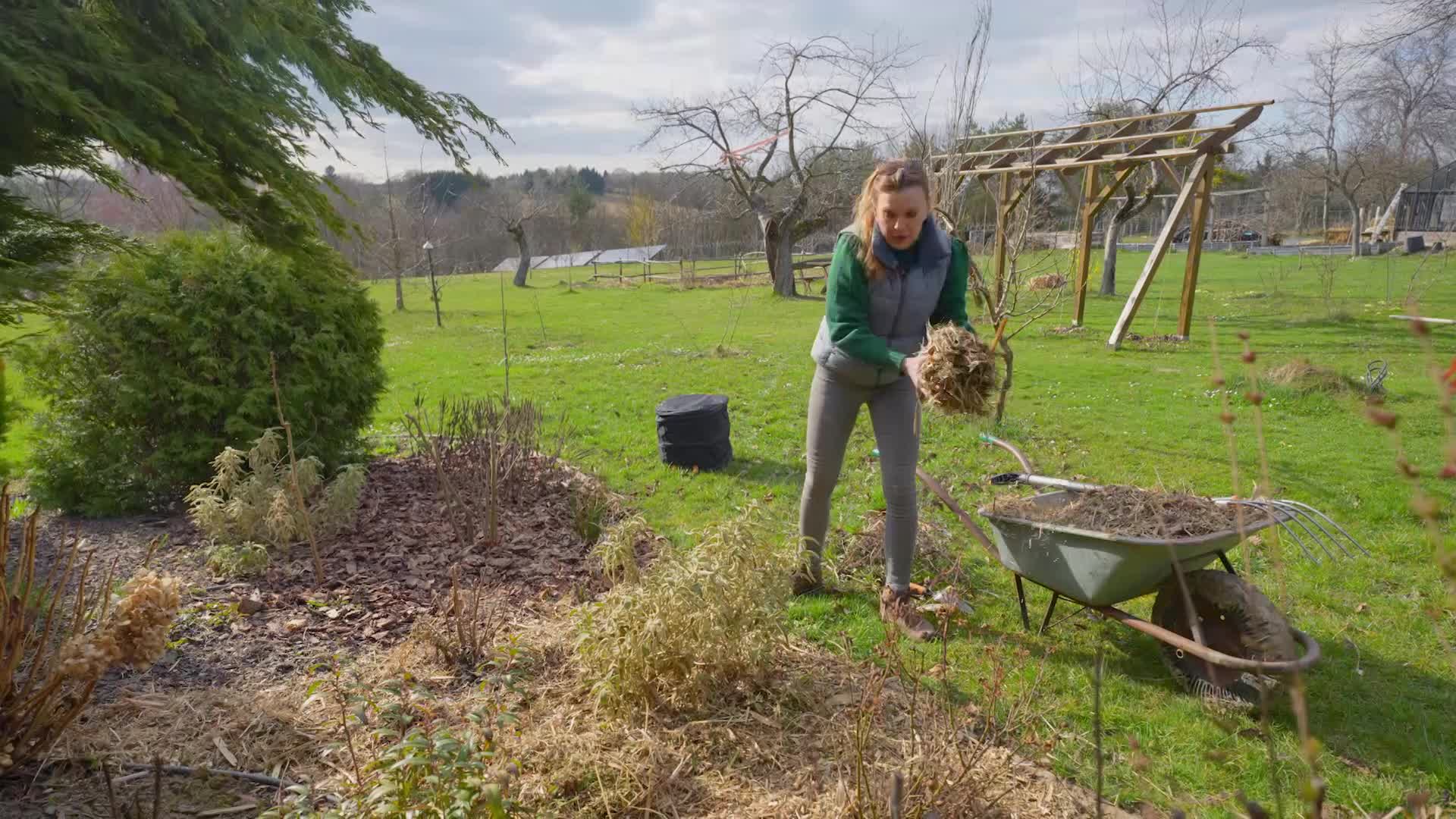 Tavaszi munkák a díszkertben