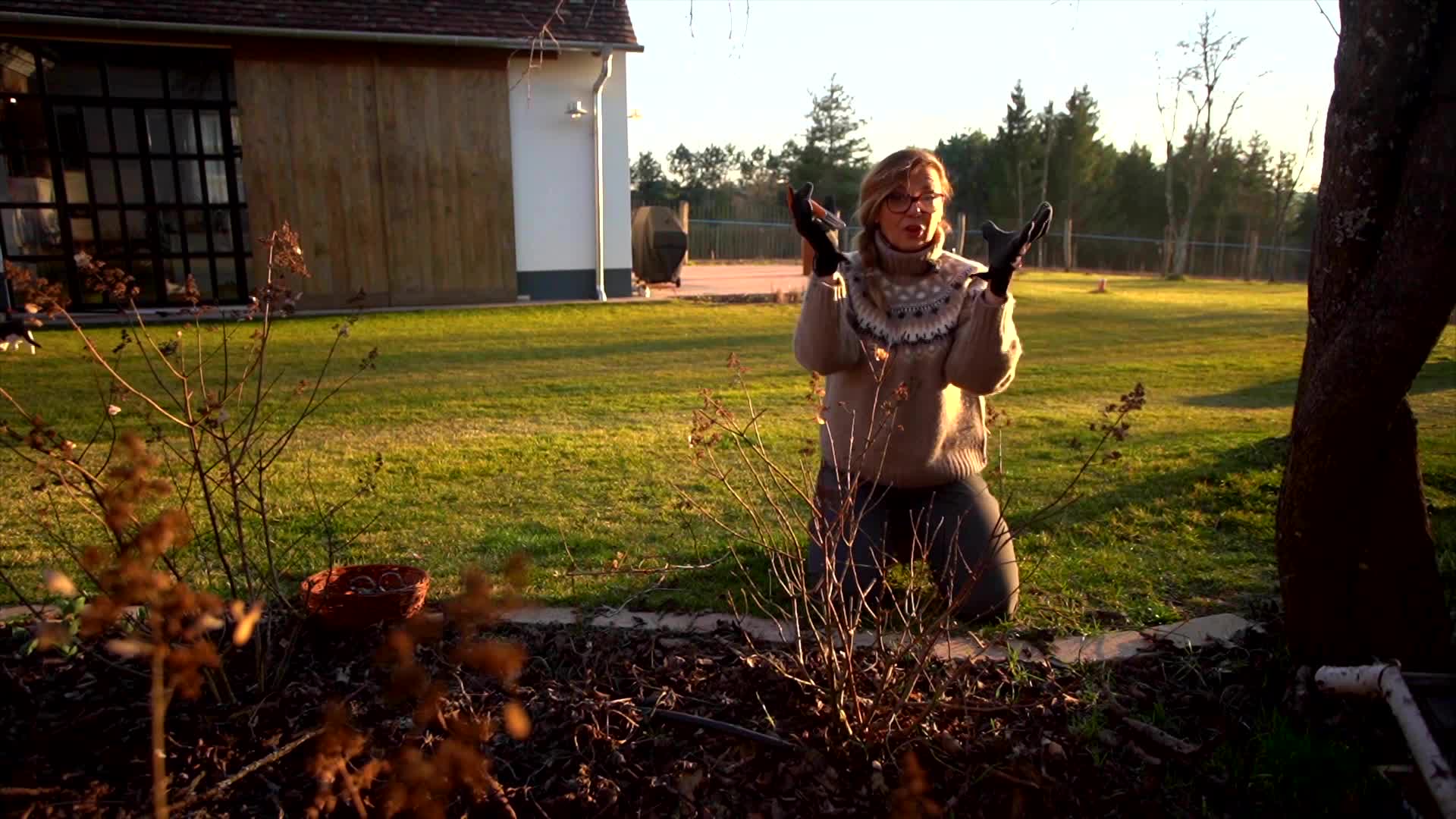 Így metszd meg a hortenziákat tavasszal! (ismétlés)