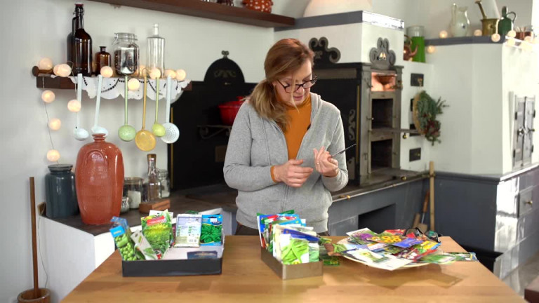 Kertem: A vetőmagok rendszerezése